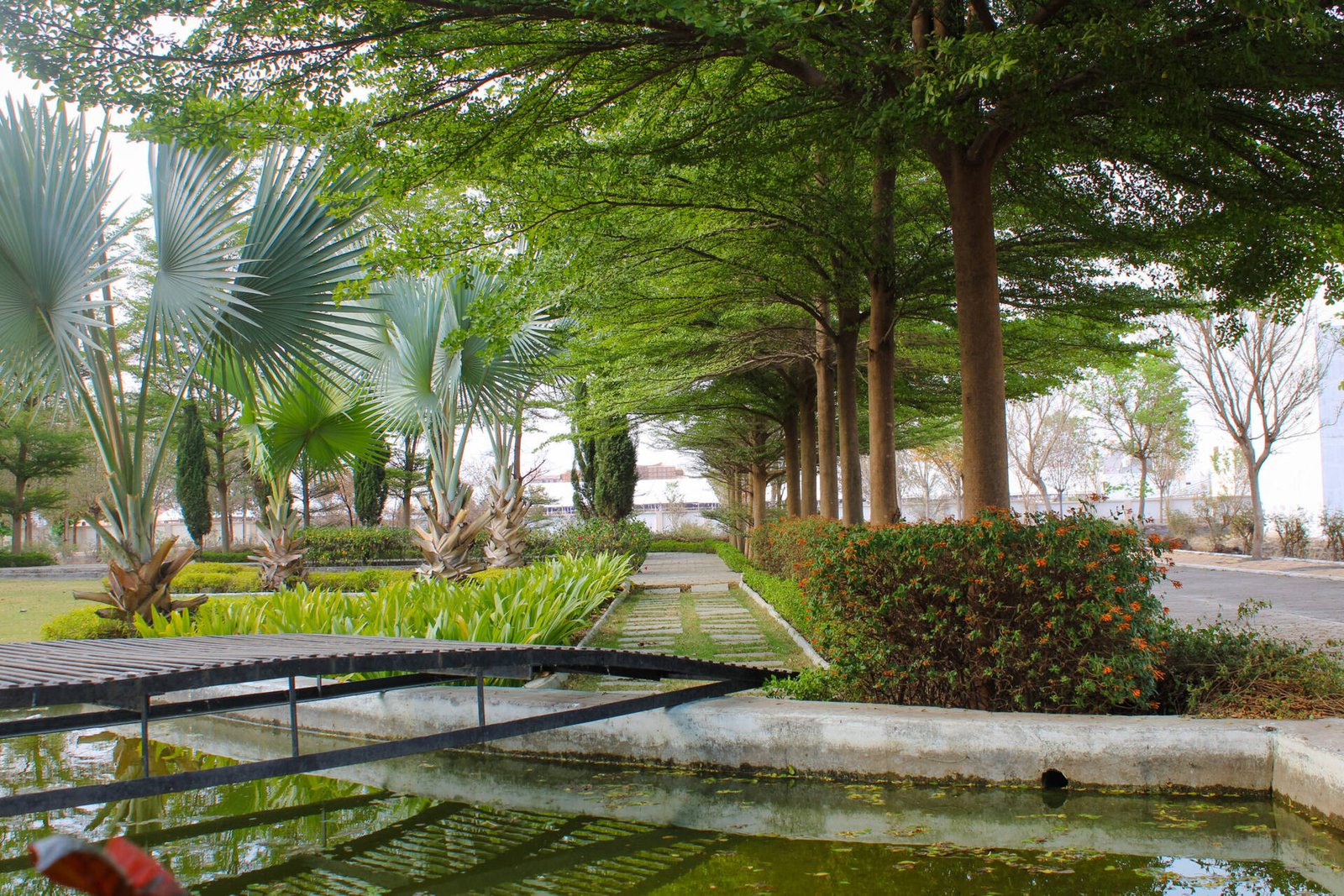 Kalyan Lok 5